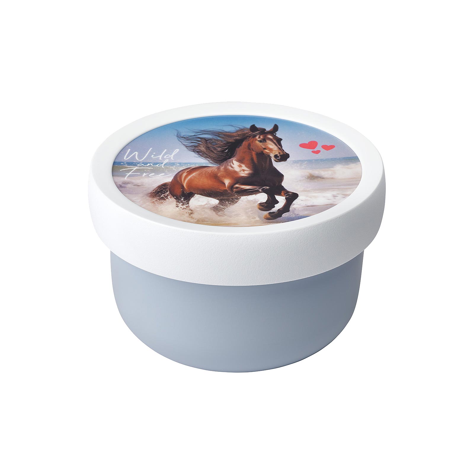 Mepal CAMPUS Fruchtbox 300 ml Wild Horse