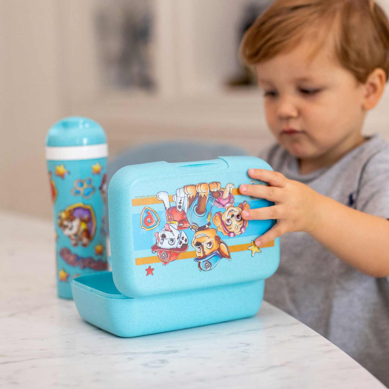 Koziol CANDY Lunchbox mit Trennschale L Paw Patrol organic blue - A 